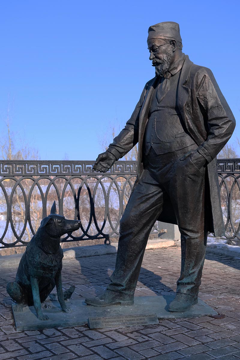 Памятник профессору Преображенскому